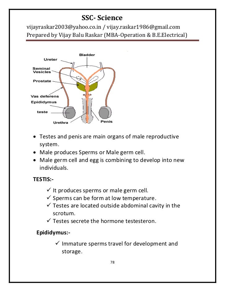 10th Ssc Science Notes Pdf